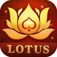 25 rs junglee rummy download